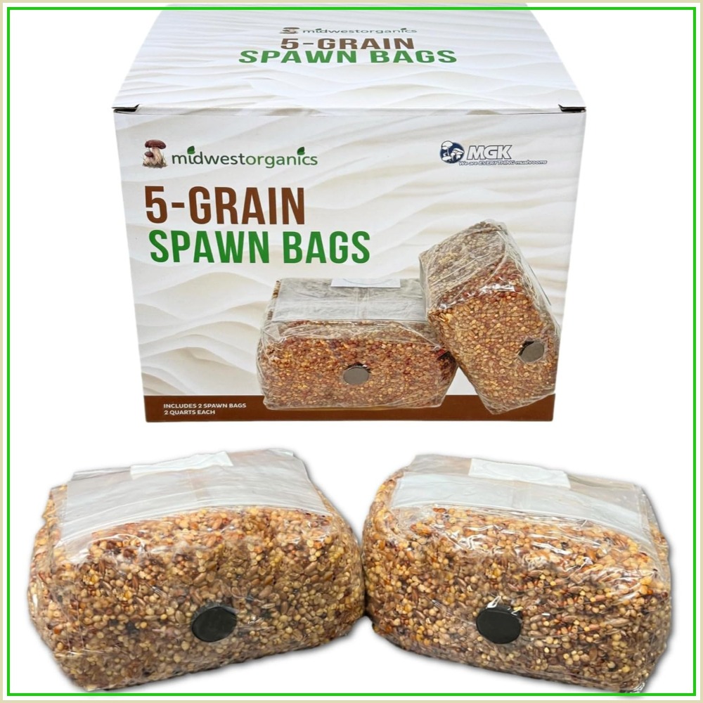 Mushroom Spawn Bag - Sterilized 5-Grain Mushroom Spawn Bags |