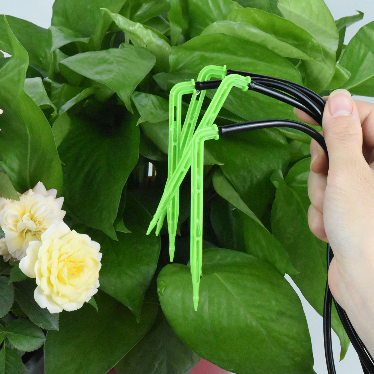 KESLA Garden 4/7mm to 3/5mm Ho - огляд і ціна Irrigation Drip Tape