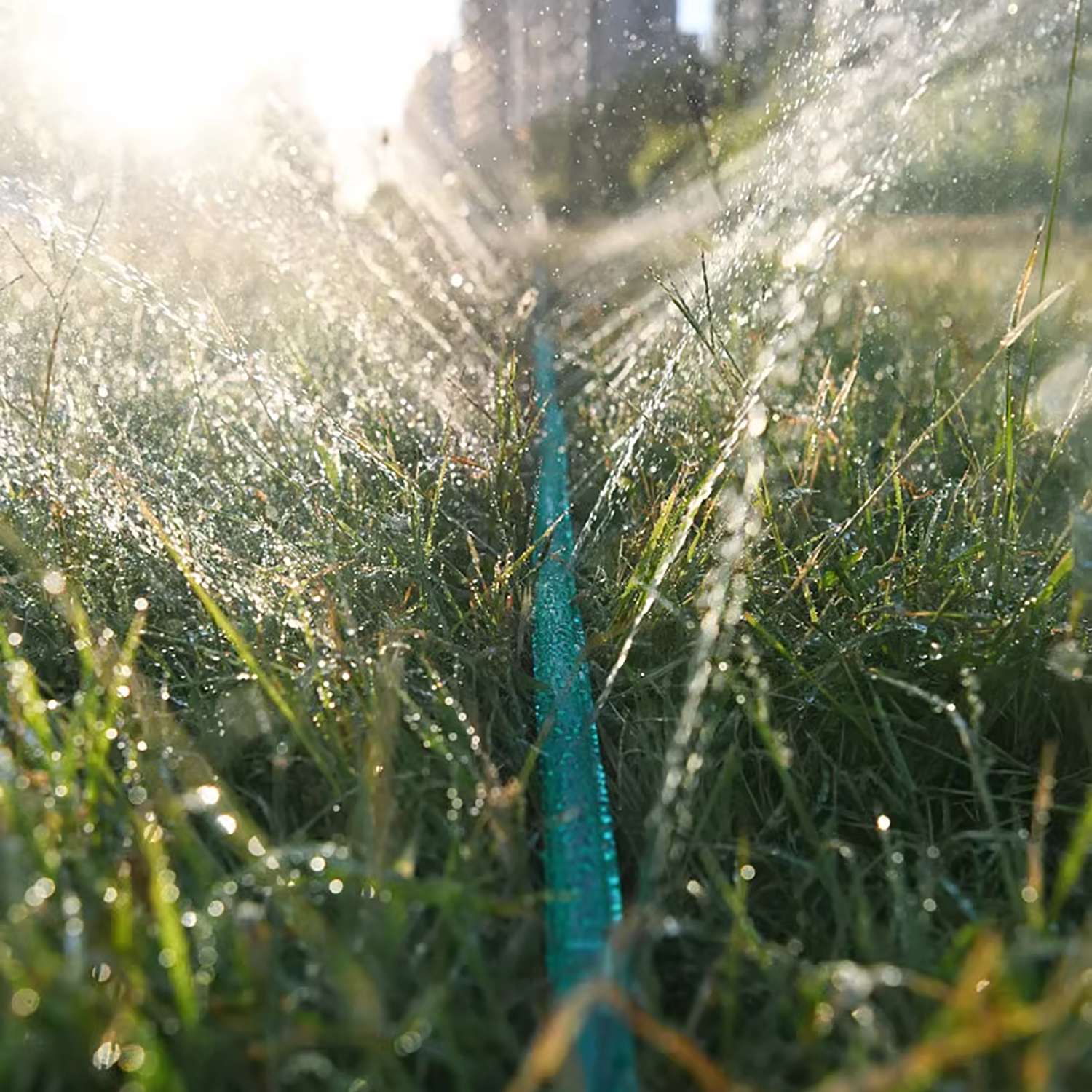 3/4.5/7.5/10/15M Porous Soaker - огляд і ціна Irrigation Drip Tape