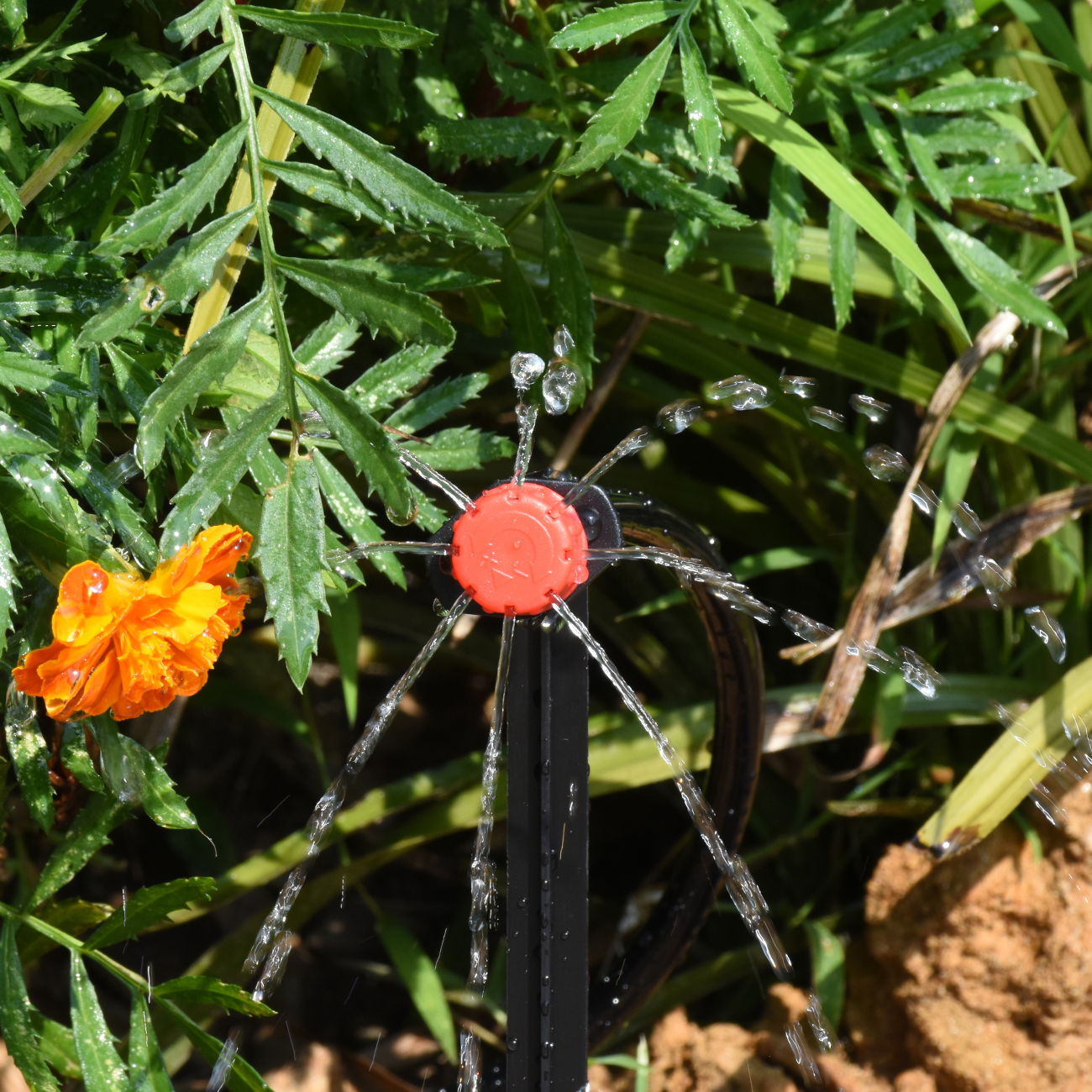 KESLA 30-800X Garden Drip Irri - огляд і ціна Irrigation Drip Tape