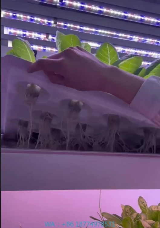 f Greenhouse Agricultural Equi - огляд і ціна Agriculture Farming Equipments