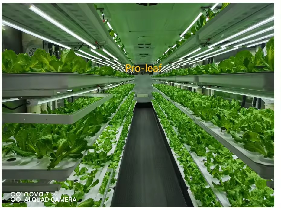 f Greenhouse Agricultural Equi - огляд і ціна Agriculture Farming Equipments