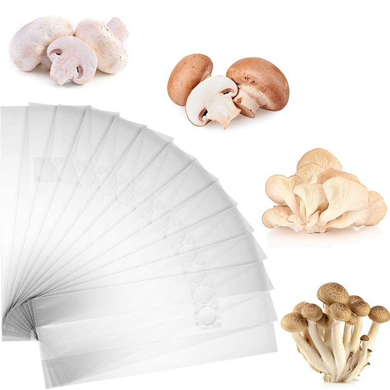 AA81-300Pcs Mushroom Growing B - огляд і ціна Mushroom Spawn Bag