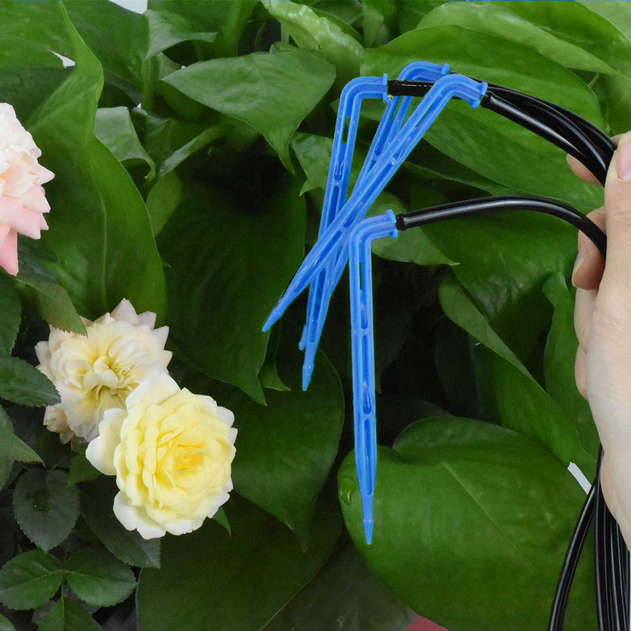 KESLA Drip Irrigation Kit 10-1 - огляд і ціна Irrigation Drip Tape