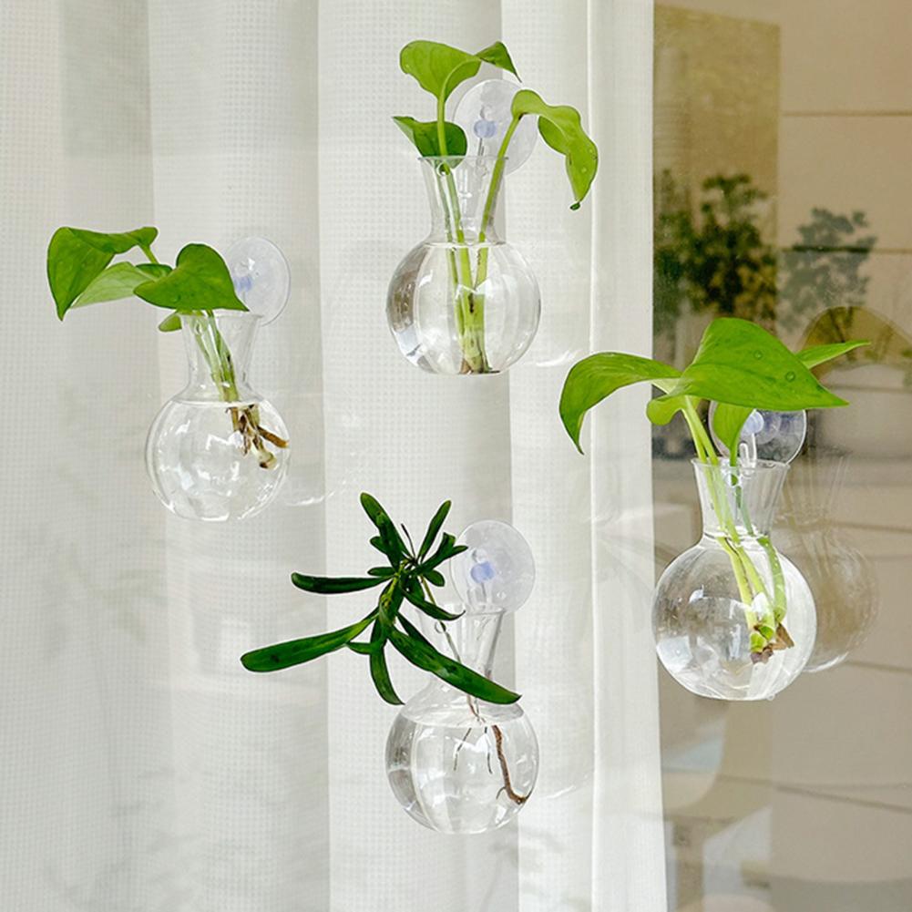 Window Planter Vase Window Pla - огляд і ціна Plant Growth Regulator