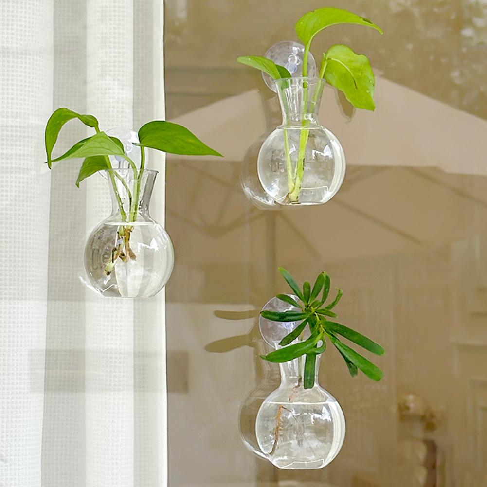 Window Planter Vase Window Pla - огляд і ціна Plant Growth Regulator