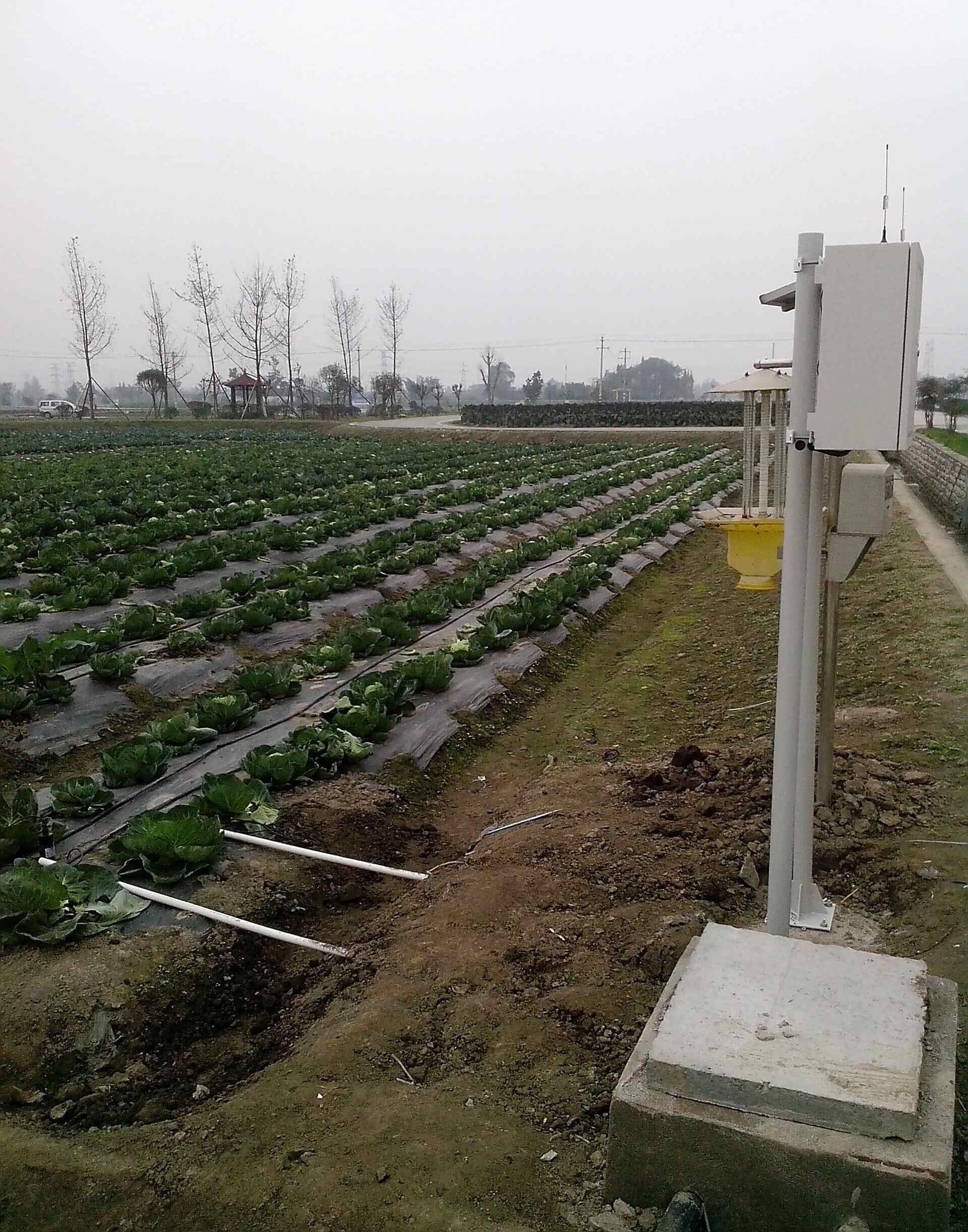 In stock 2026 Smart Crops Farm - огляд і ціна Farming Agriculture Stocks