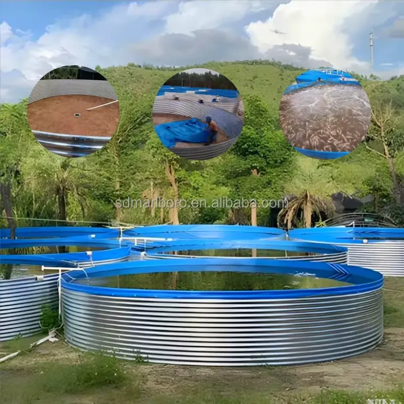SDM Tarpaulin Farm Pool for Ga - огляд і ціна Farming Agriculture Stocks