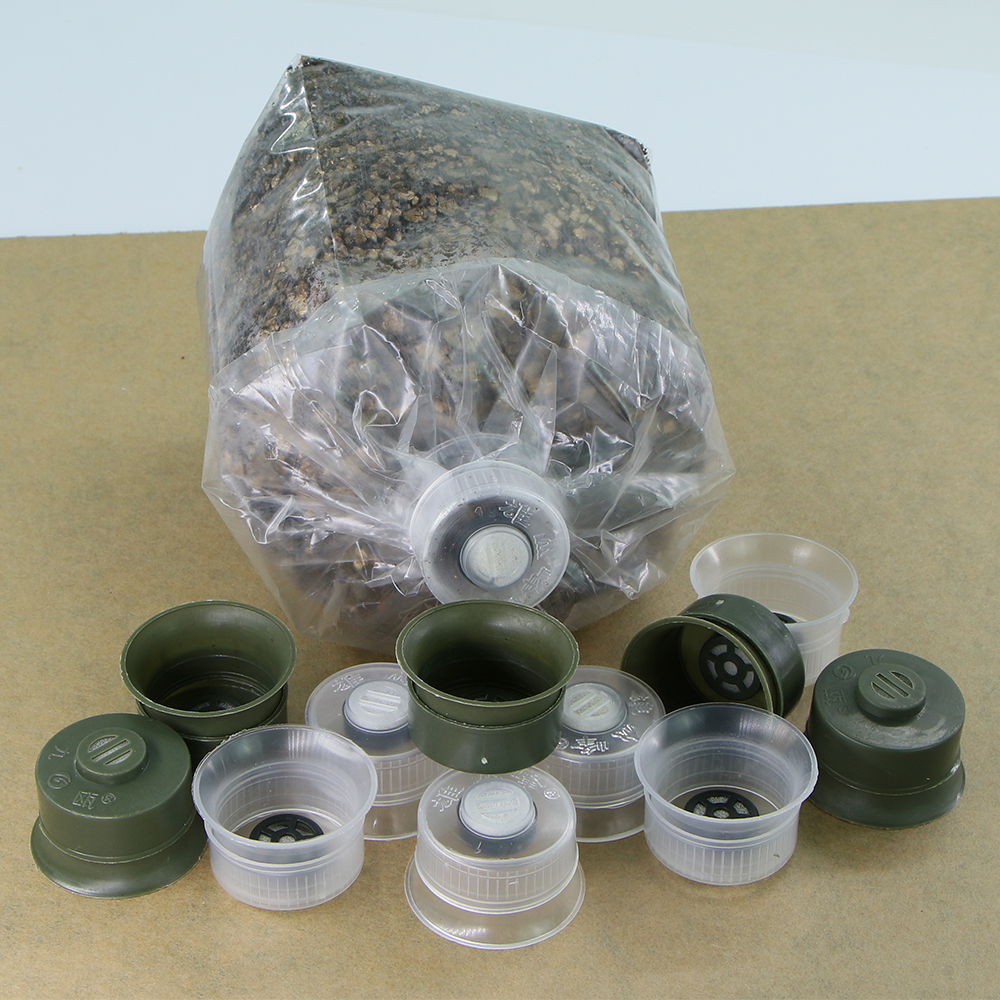 20/50pcs Mushroom Spawn Grow B - огляд і ціна Mushroom Spawn Bag