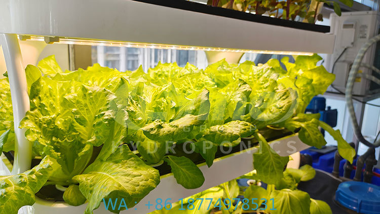 c Agriculture Machine to Growi - огляд і ціна Agriculture Farming Equipments