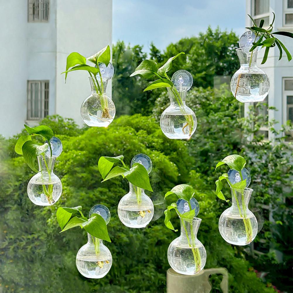 1/2/3/4/6/8Pcs Plant Propagati - огляд і ціна Plant Growth Regulator