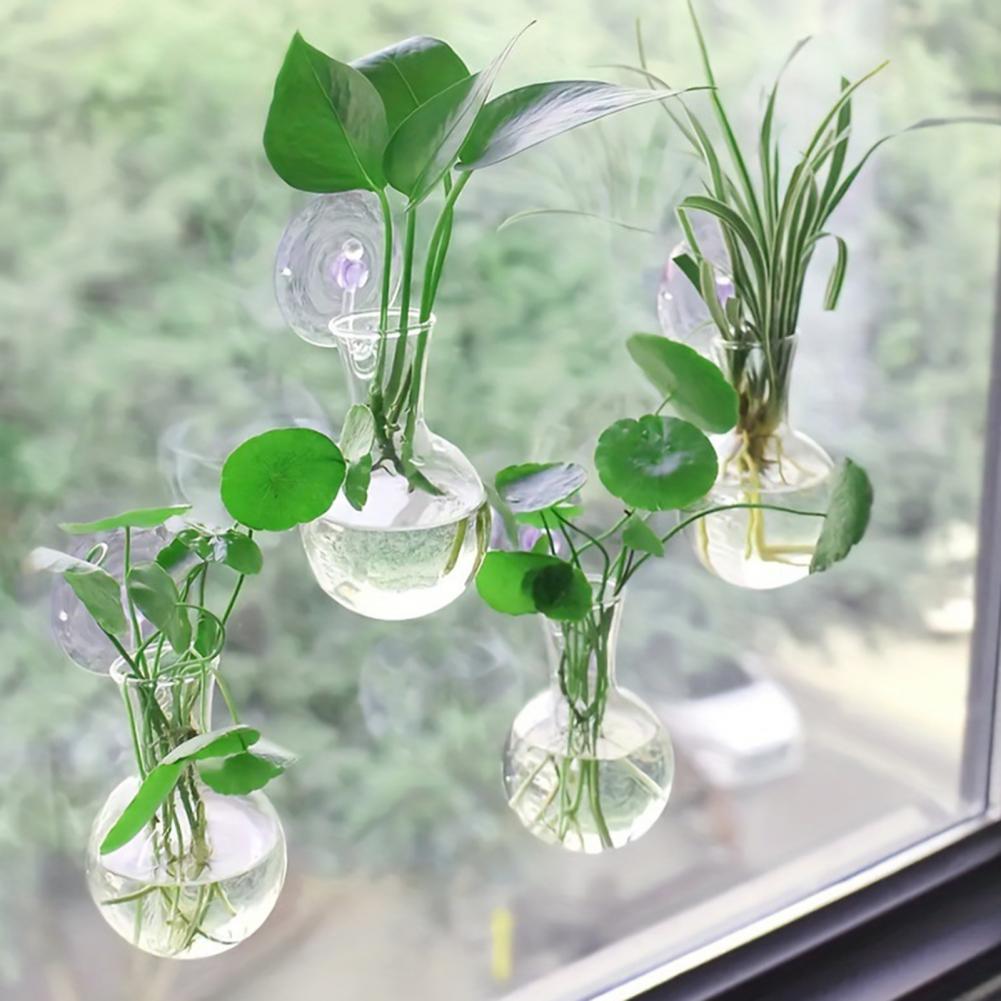 1/2/3/4/6/8Pcs Plant Propagati - огляд і ціна Plant Growth Regulator