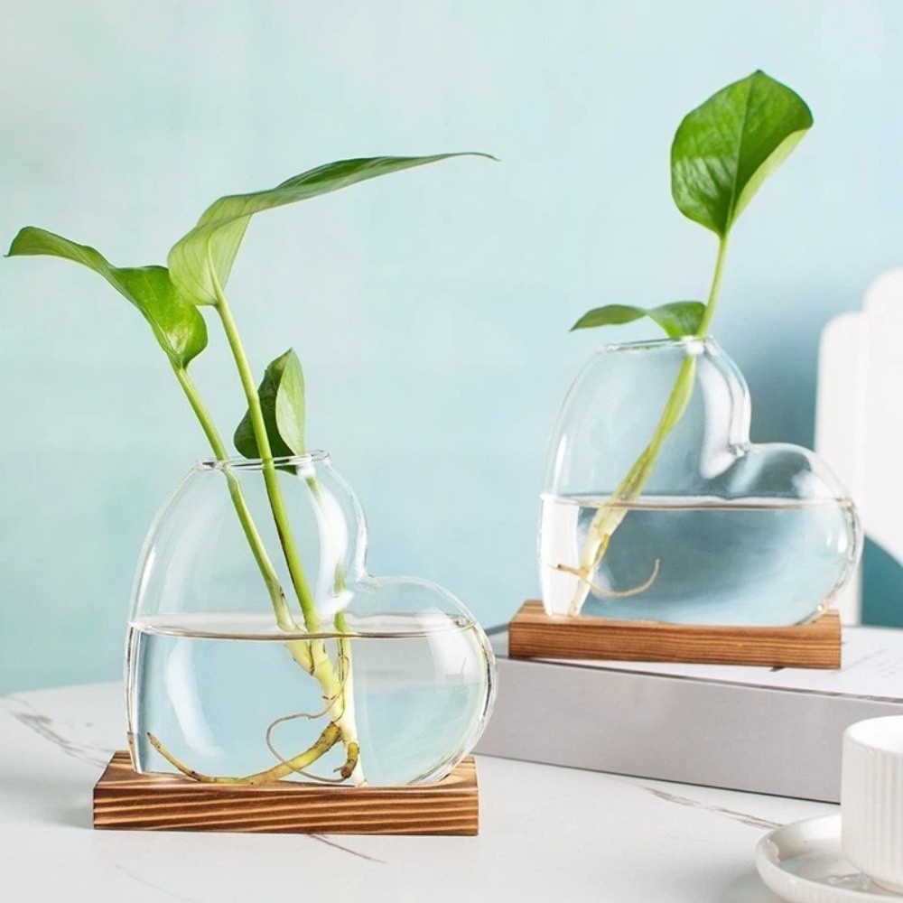Transparent Hydroponic Glass V - огляд і ціна Plant Growth Regulator
