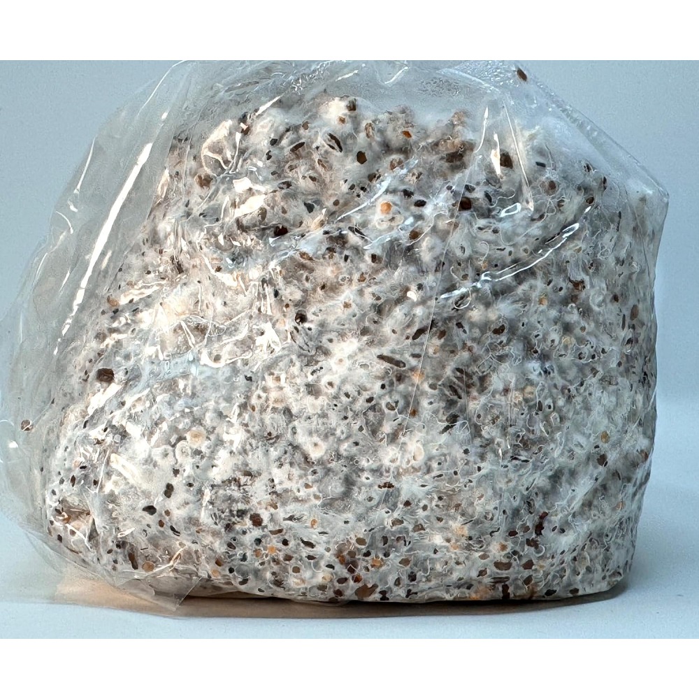 Sterilized 5-Grain Mushroom Sp - огляд і ціна Mushroom Spawn Bag